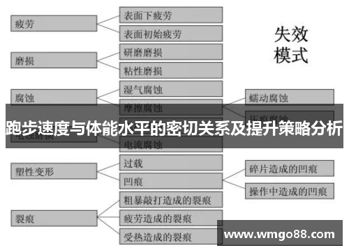 跑步速度与体能水平的密切关系及提升策略分析